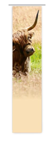 Flächenvorhang Scottish highland cattle  Schiebevorhang, Schiebegardine, modern, 60 cm breit, 2,65 m hoch,
